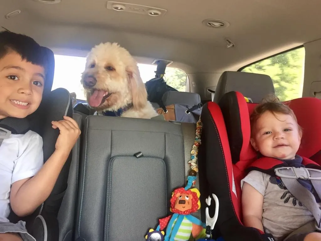 Charlie riding in the back seat between the boys